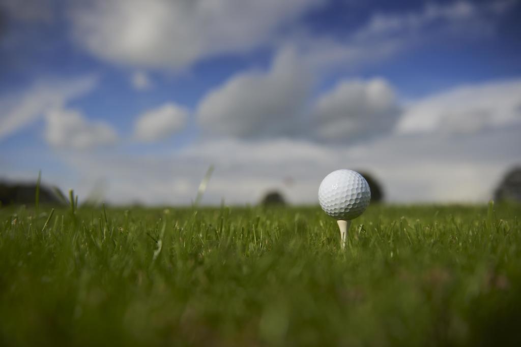 Chateau Du Bois-Guy Golf Parigné Exteriör bild