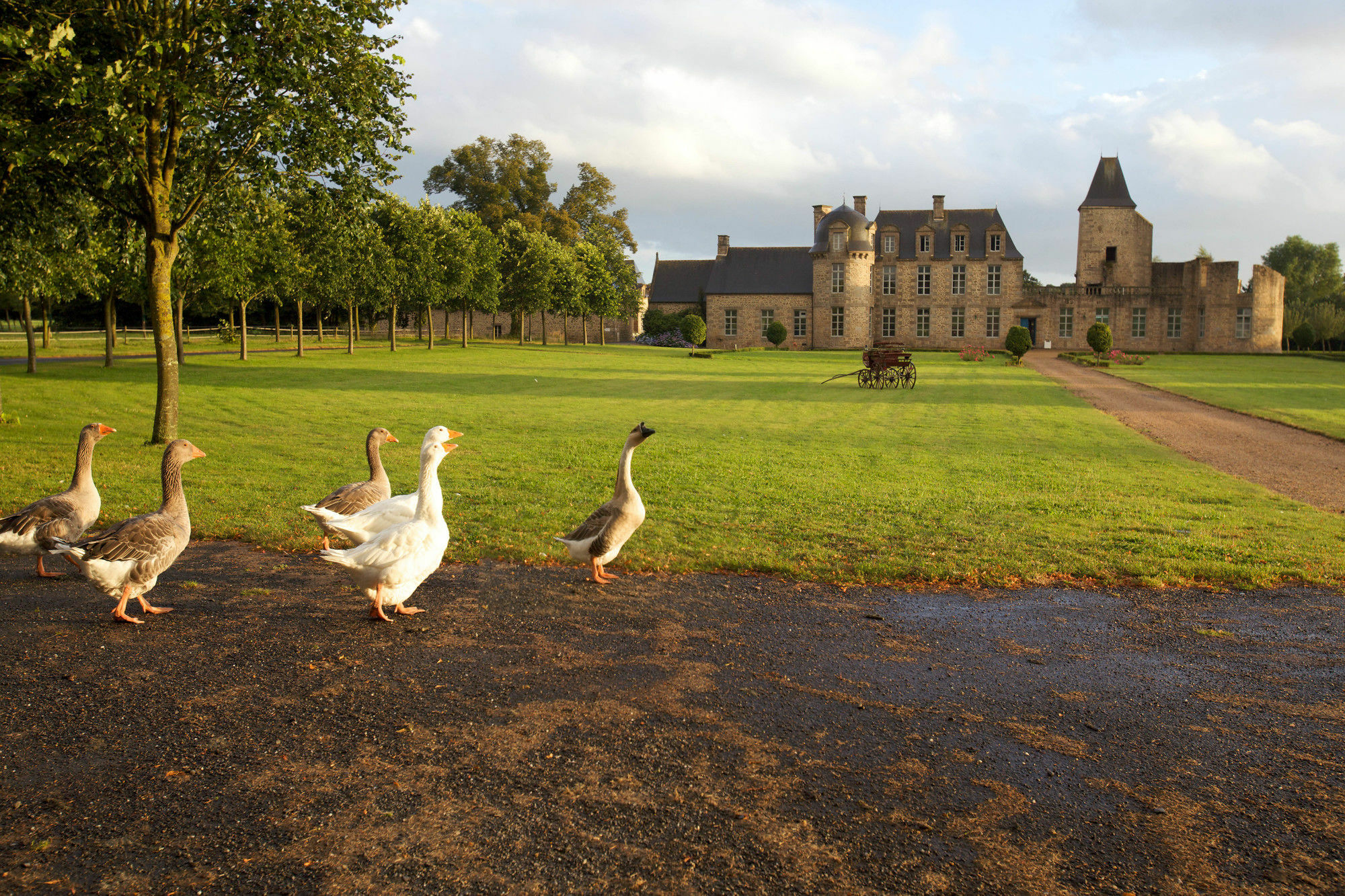 Chateau Du Bois-Guy Golf Parigné Exteriör bild